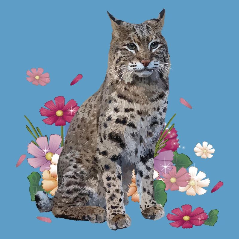 Lynx