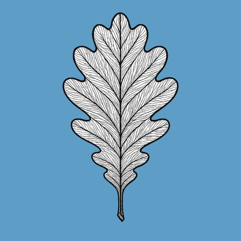 Monochromes Eichenblatt-Design