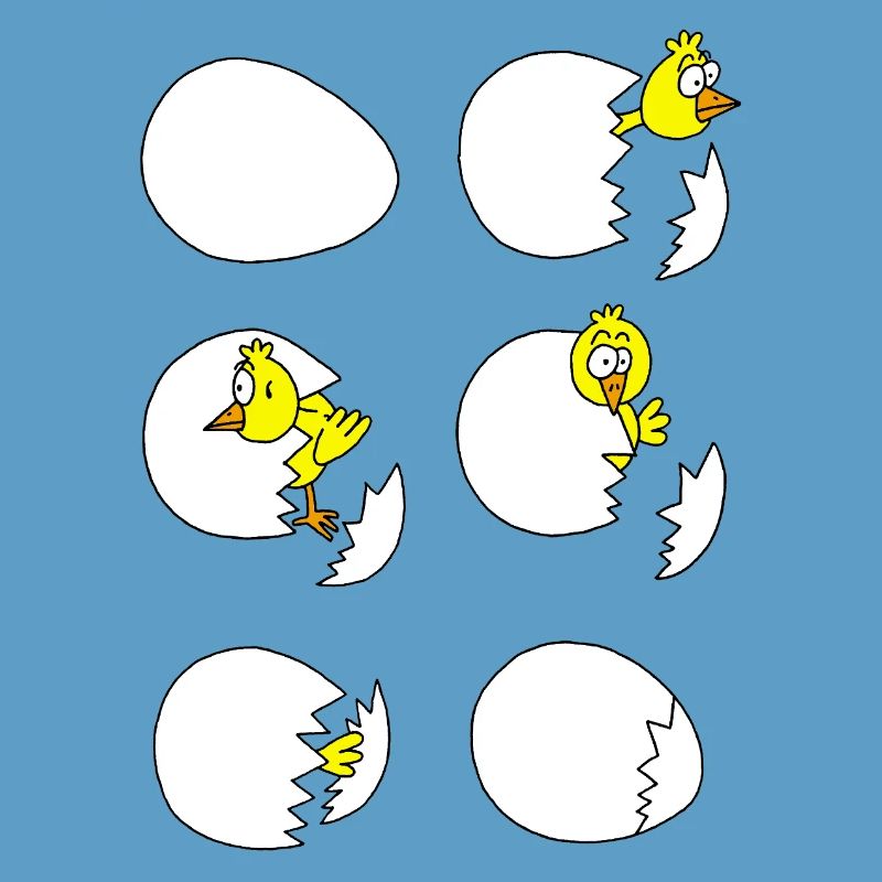 The chick