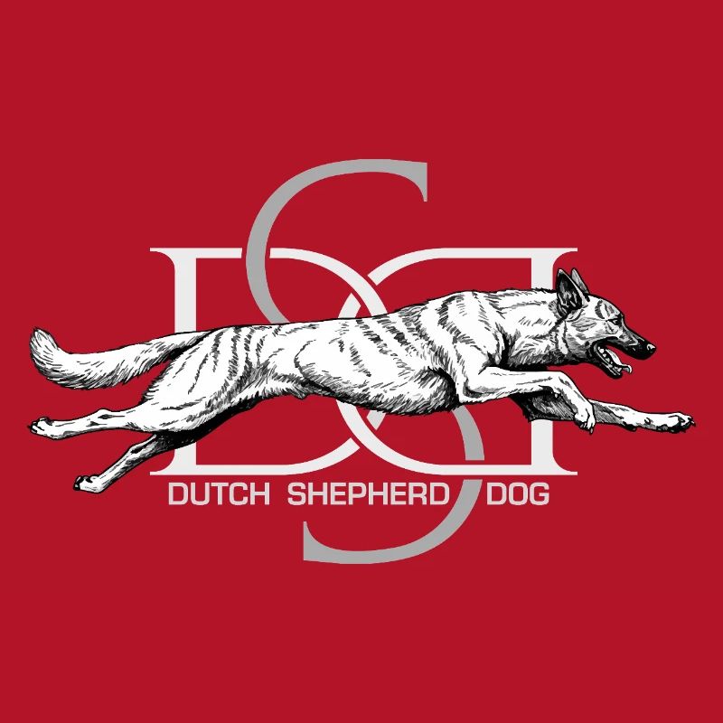 Dutchie - Holländischer Schäferhund