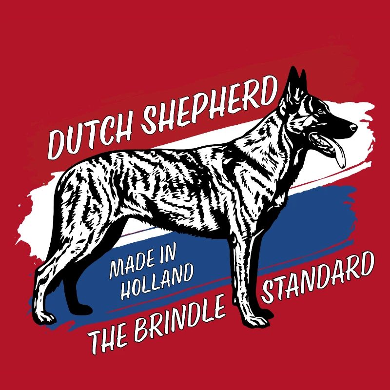 Dutch Shepherd – Dutchie