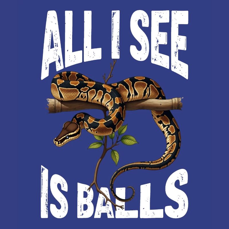 Python roi Serpents Amateurs de terrarium Python