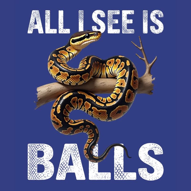 Königspython Schlangen Liebhaber Terrarium Python