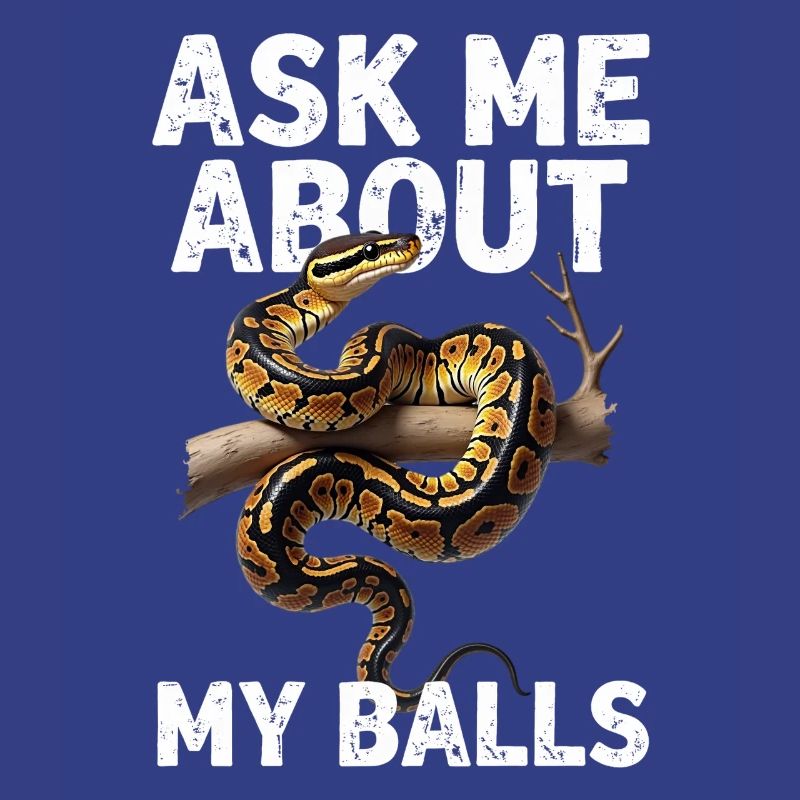 Python roi Serpents Amateurs de terrarium Python