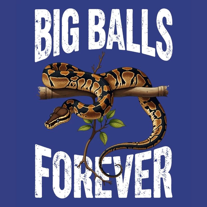 Python roi Serpents Amateurs de terrarium Python