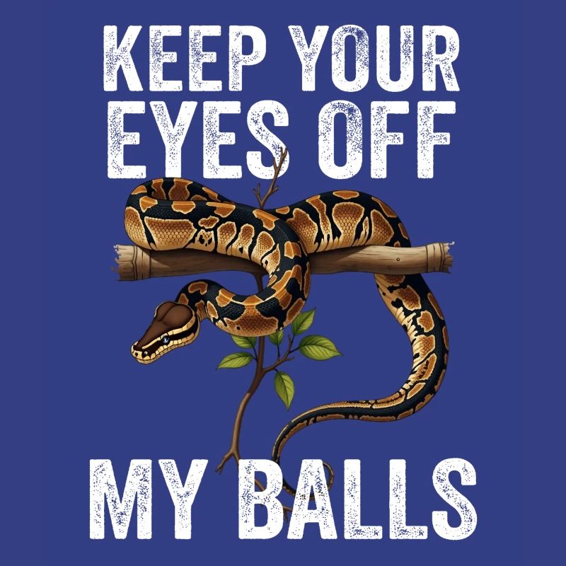 Python roi Serpents Amateurs de terrarium Python