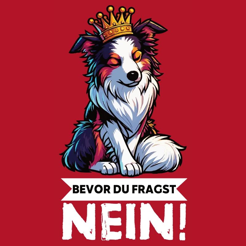 Bevor Du Fragst Australian Shepherd Aussie Aussie