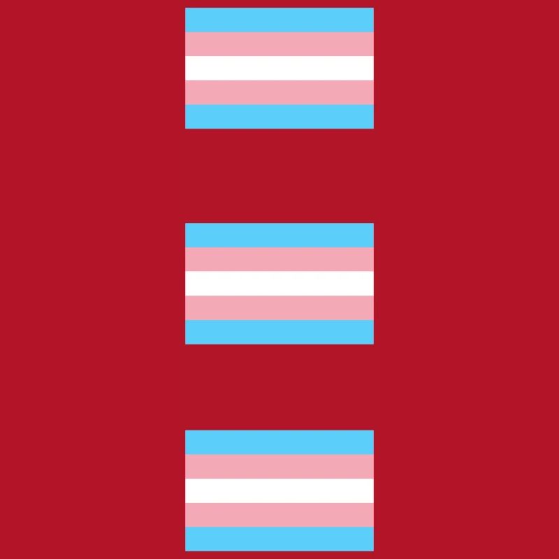 Trans Pride Flags  