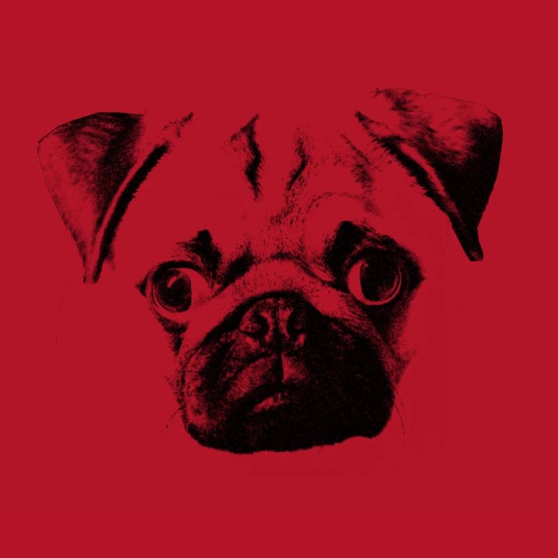 pug face