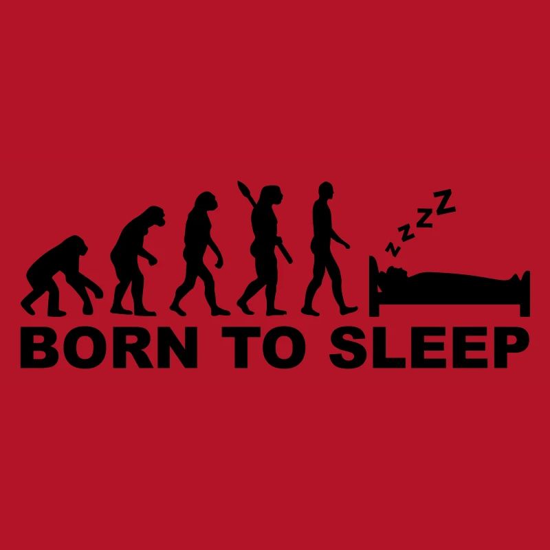 Evolution Dormir