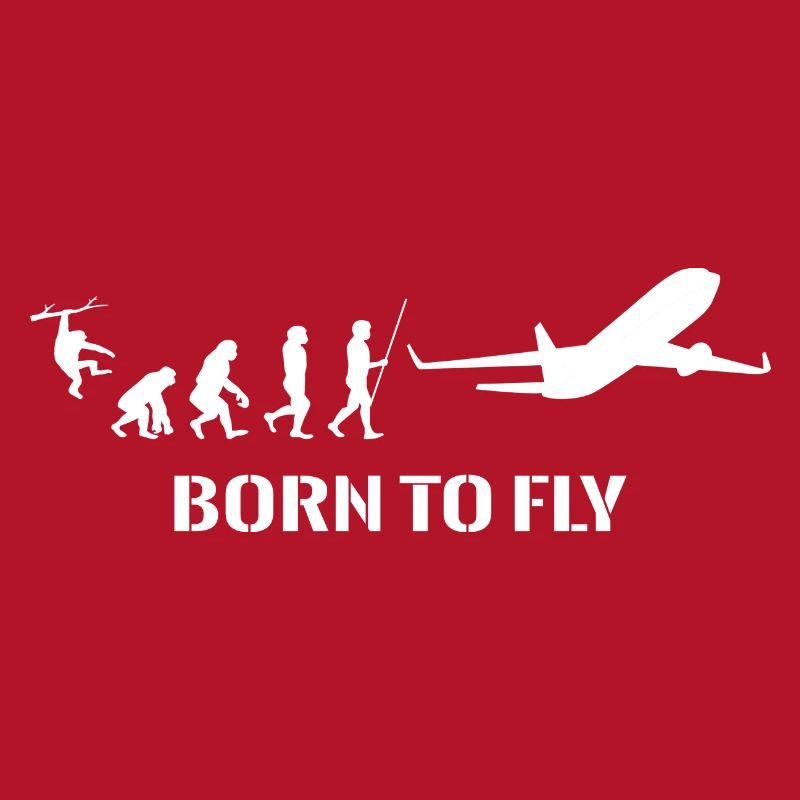 Flugzeug Evolution Pilot Fliegen Flugsport