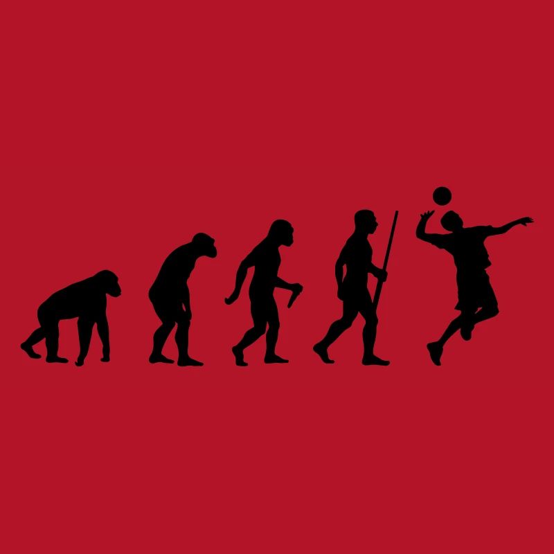 Volleyballer Evolution