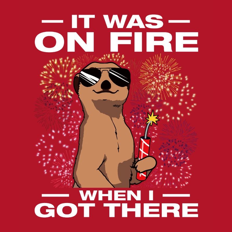 It was on fire: pyrotechnicians, firecrackers, fireworks