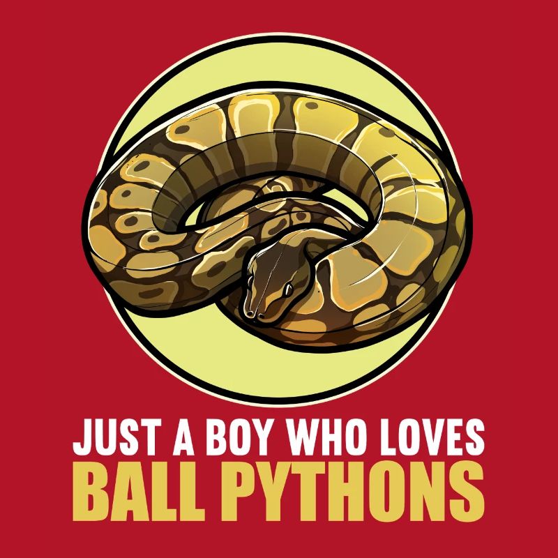 Ball Python Roi Python Roi Python