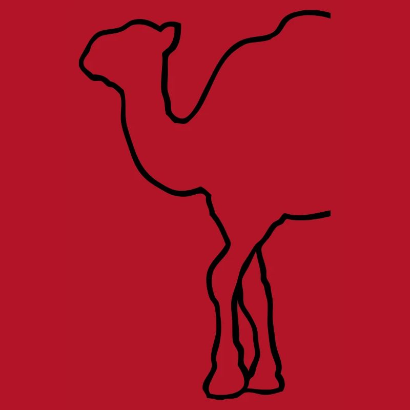 Camel - Kamel - Dromedar
