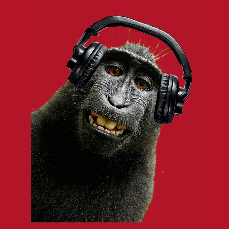 Hemd Monkey Music von Custom