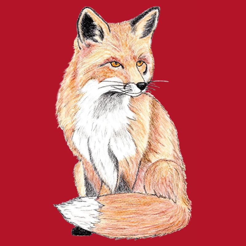 Kleiner Waldfuchs - ein sanfter Begleiter