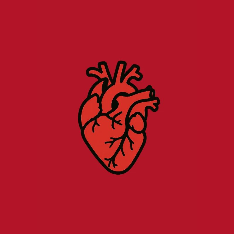 cuore_anatomico