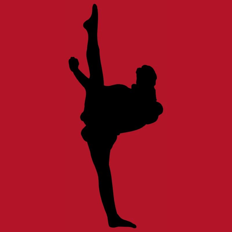 Karate oder Taekwondo High Kick