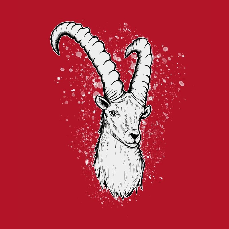 Steinbock Sternzeichen Geschenk