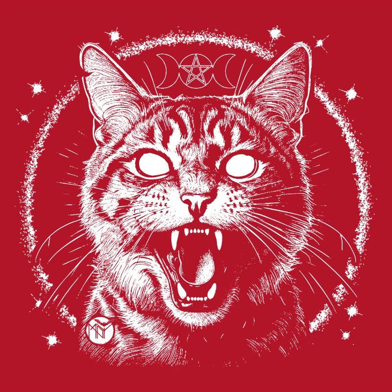 Bewitched Tabby