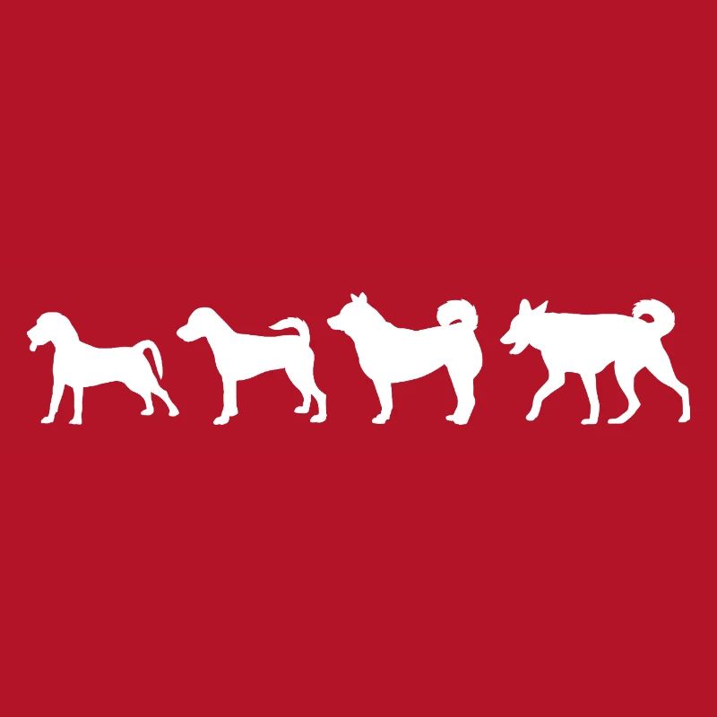 Évolution du chien