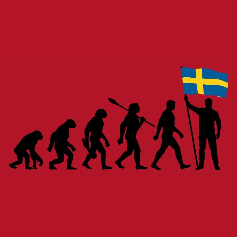 Suède - Evolution - Drapeau - Nation