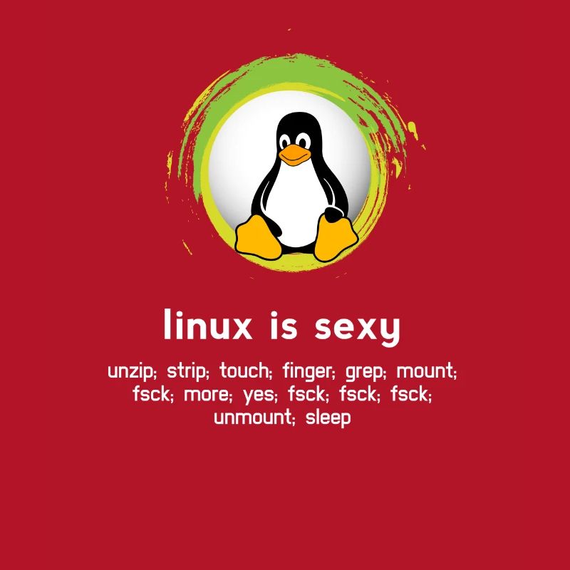 Computer System Penguin Nerd pc inside code admin