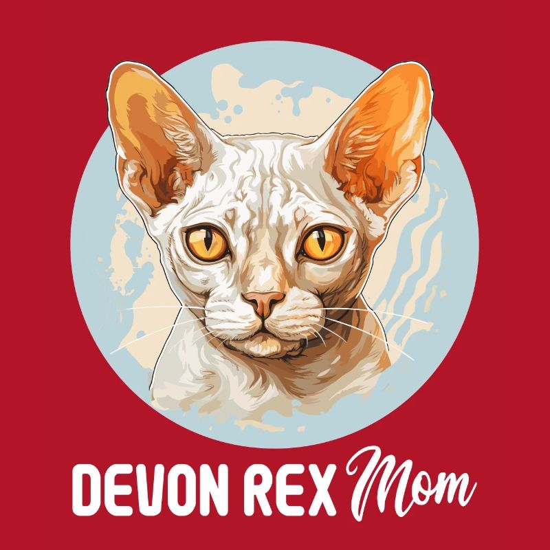 Devon Rex Kätzchen Devon Rex Katze