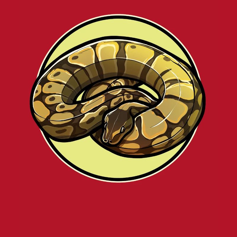 Ball Python Roi Python Roi Python