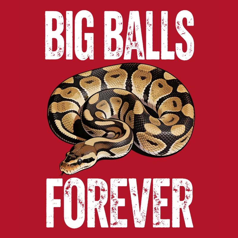 Python roi Serpents Amateurs de terrarium Python