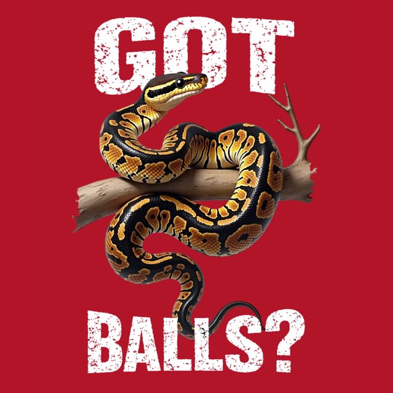 Python roi Serpents Amateurs de terrarium Python