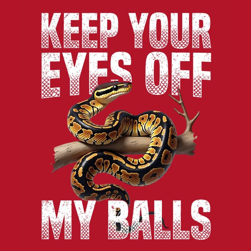 Python roi Serpents Amateurs de terrarium Python