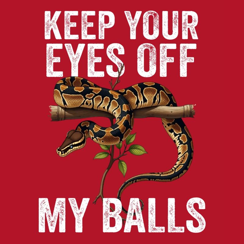 Python roi Serpents Amateurs de terrarium Python