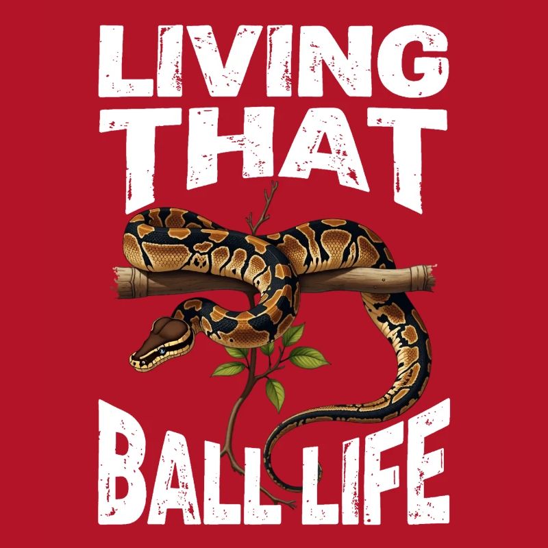 Python roi Serpents Amateurs de terrarium Python