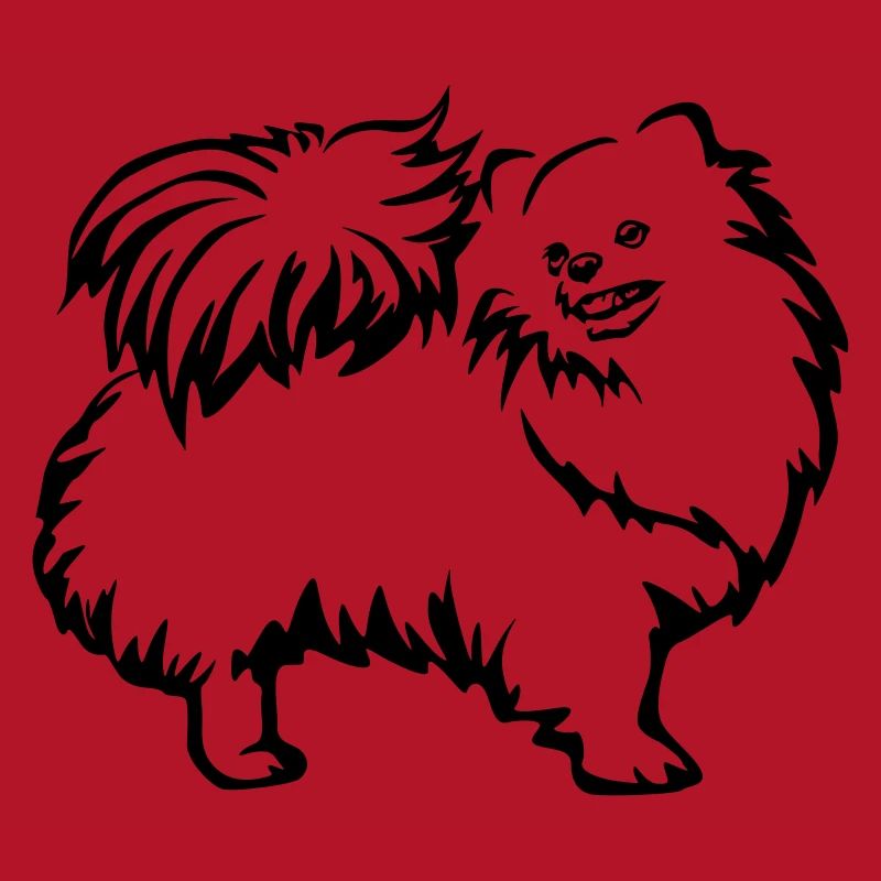 Spitz nain