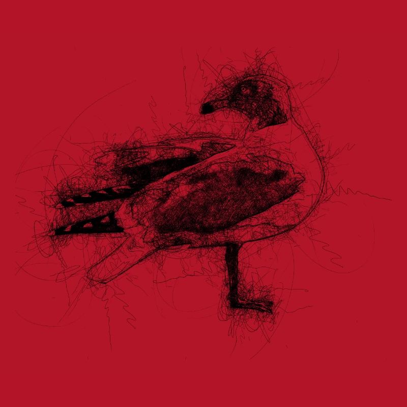 Möwe