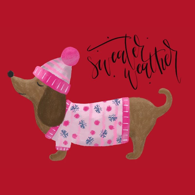 Teckel avec pull et chapeau Pull Météo rose