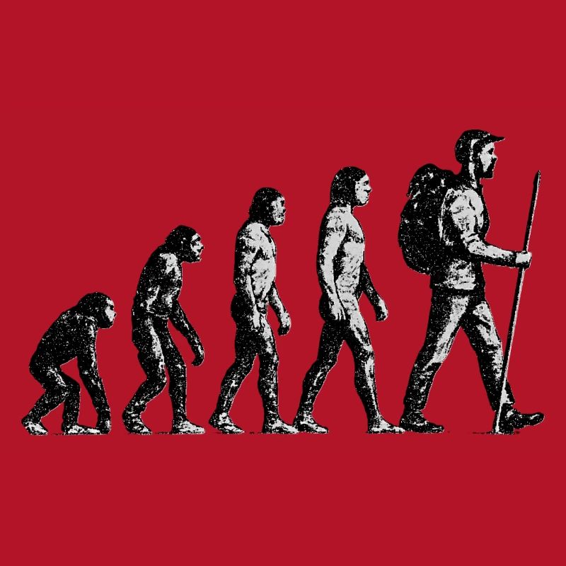 Évolution vers le design grunge Wandersmann