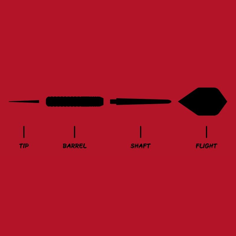 Explication de la fléchette Anatomie Conception de la fléchette