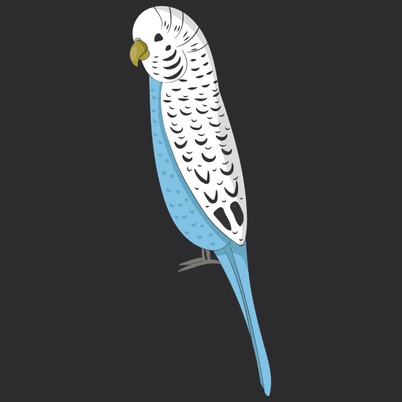 Perruque