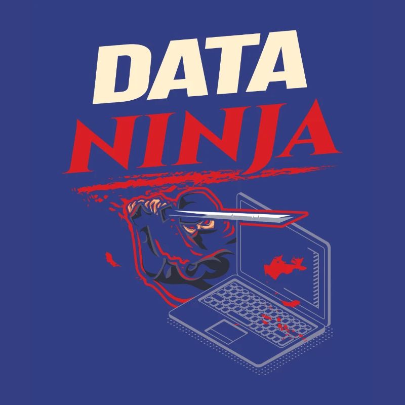 Data Ninja computer programming coder