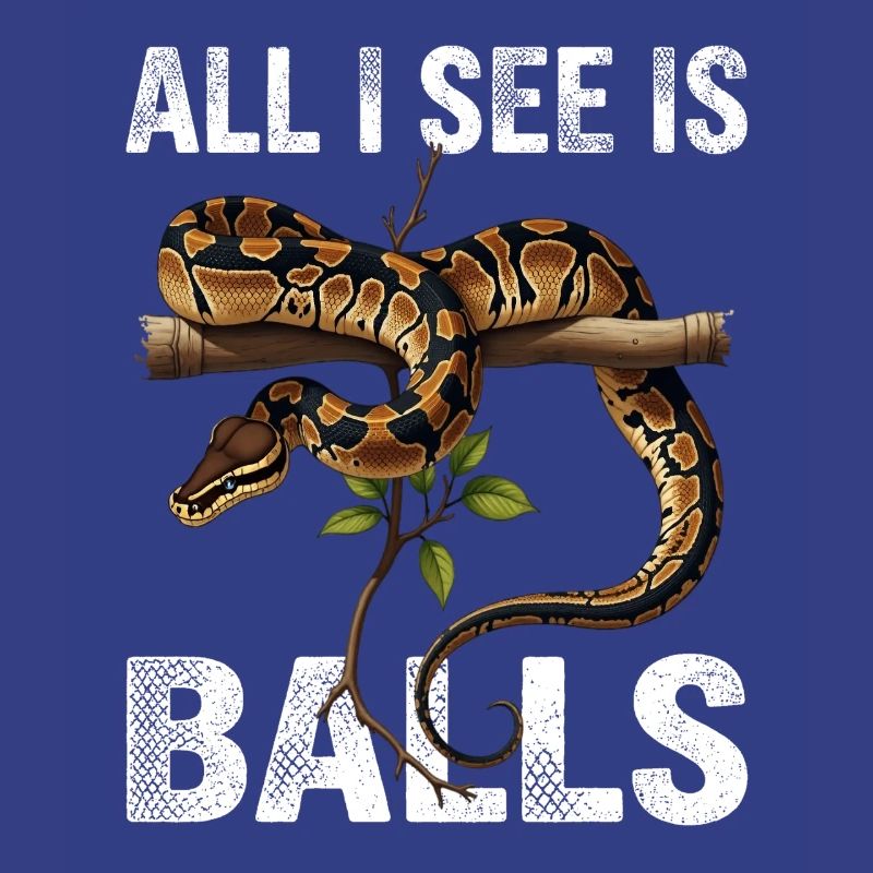 Python roi Serpents Amateurs de terrarium Python