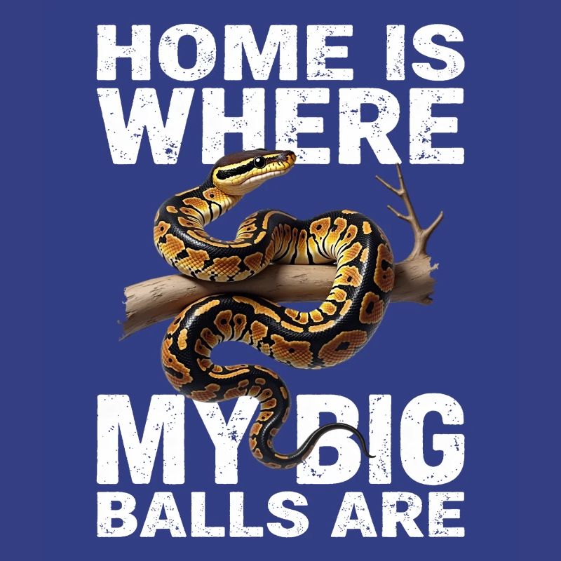 Python roi Serpents Amateurs de terrarium Python