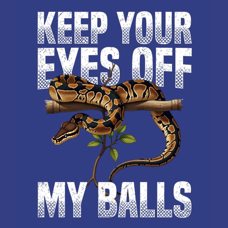 Python roi Serpents Amateurs de terrarium Python