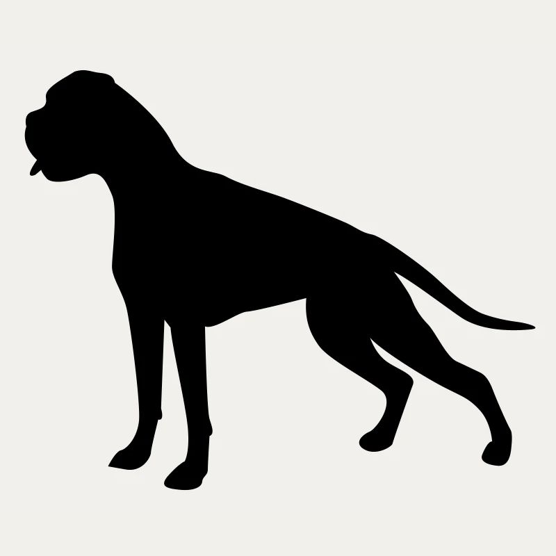 Boxer