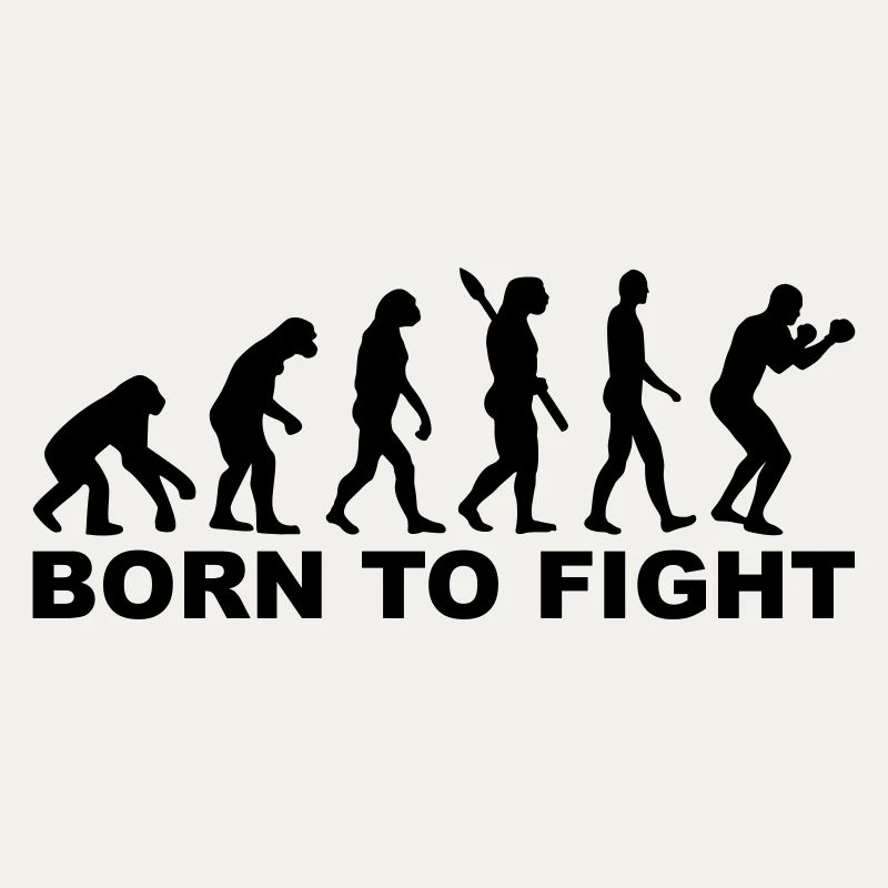 Boxen Evolution