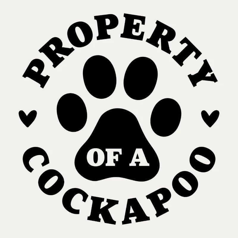 Eigentum eines Cockapoo