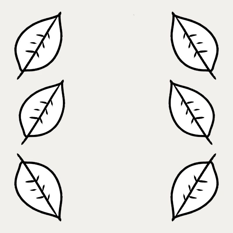 Pattern Leaf Leaves Frame Nature