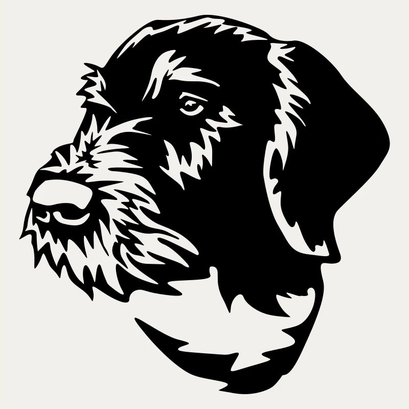 German Wirehaired Pointer